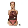 BIX-H80 .BIX-H4/1 Transparent Gastric Lavage Model