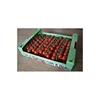 Custom clamshell card board fruit design fresh cherry tomatoes strawberry dried vegetable packaging