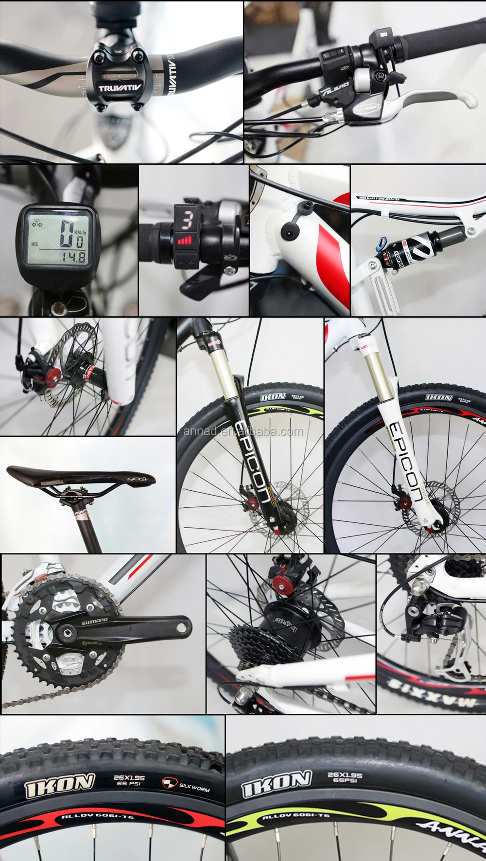 aceshin electric bike