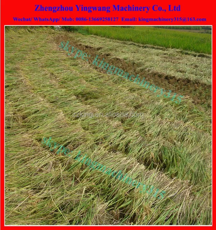 small rice wheat harvesting machine (10).jpg