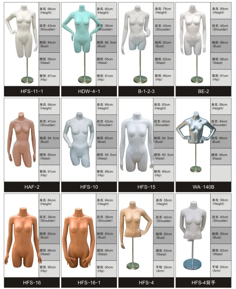 Half body mannequins (1)