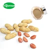 GMP factory supply high quality Peanut powdder natural peanut shell extract