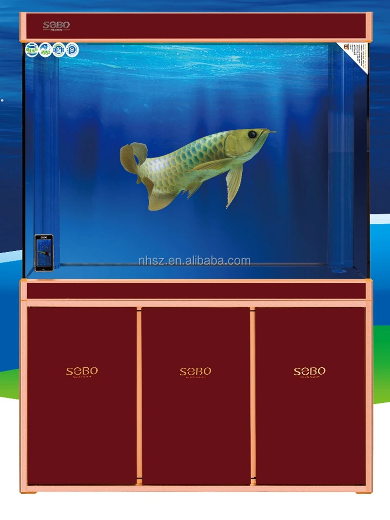 desain aquarium buat ikan arwana