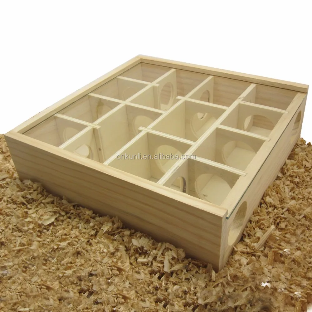 dwarf hamster playground