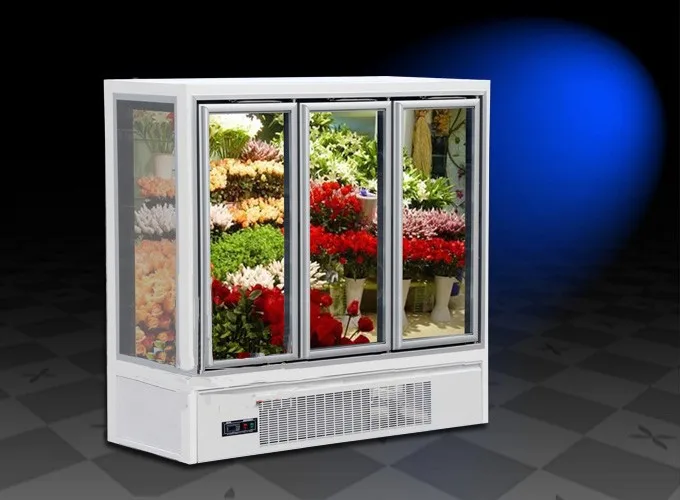 Mantener flores frescas comercial refrigerador para tienda de flores