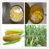 /product-detail/high-quality-canned-food-canned-sweet-corn-in-tins-packaging-1388699551.html