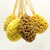 Flowercosmetics Baby Bath Sponge Natural Sea Sponge for Baby Bath Shower Soft and Durable Body Sponge