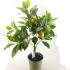 Wholesale Artificial Faux Lemon Tree In Tin Vase for Home Decor