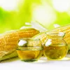 2019 High Efficiency Corn Germ Oil Processing Machine