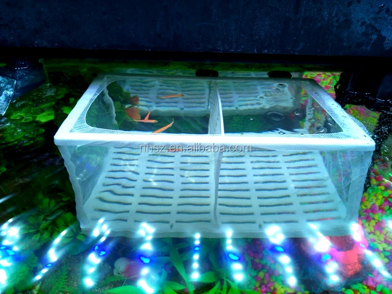 Box Fish Aquarium Breeding Tank Hang Breeder Hatchery New Marina Fry