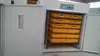 JF-2112 CE Approved Incubator For Sale egg incubator for sale old or new pattern as your request