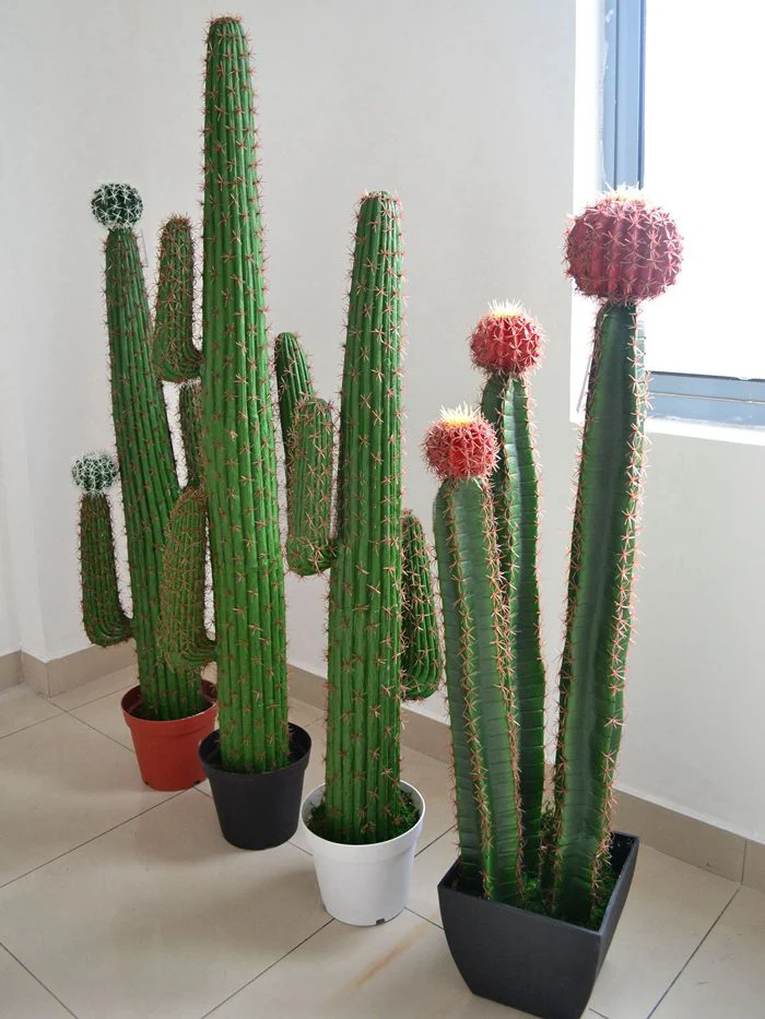 Artificial Cactus Plants Tropical Names  Of Cactus Plants 