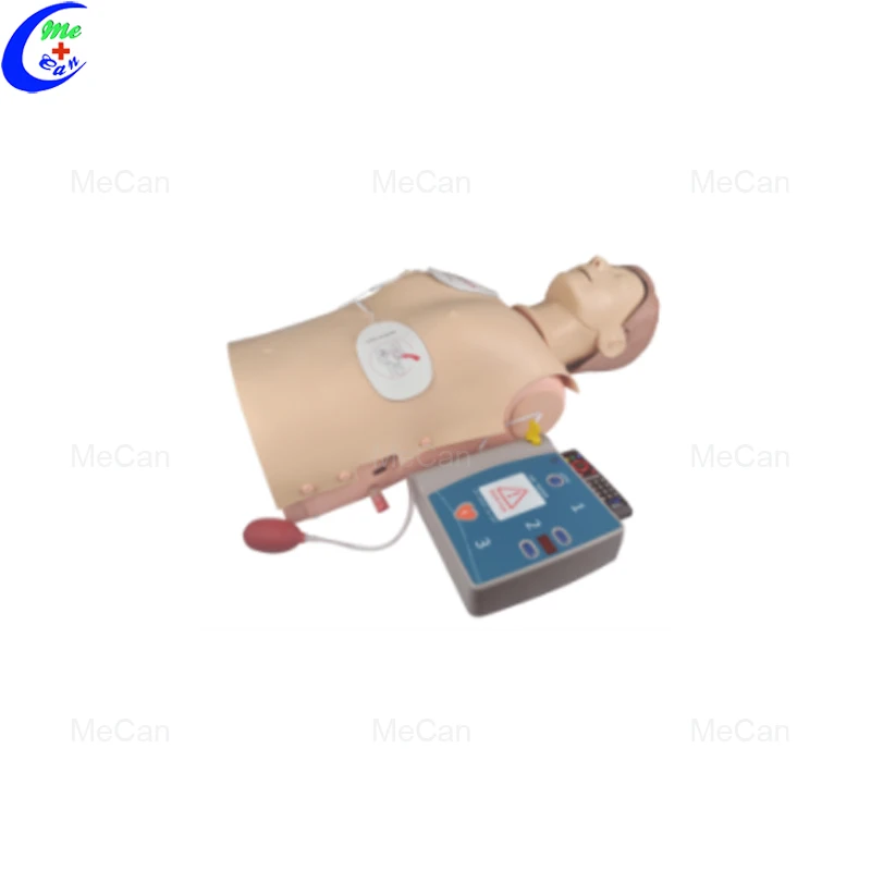 EXTERNAL DEFIBRILLATION & CPR MANIKIN