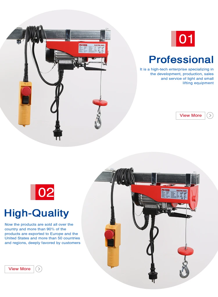 Pa100d 50/100kg Minielectric Hoist Wholesale Buy Electric Hoist,Mini