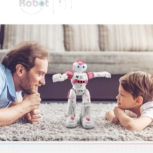 cady wida robot price