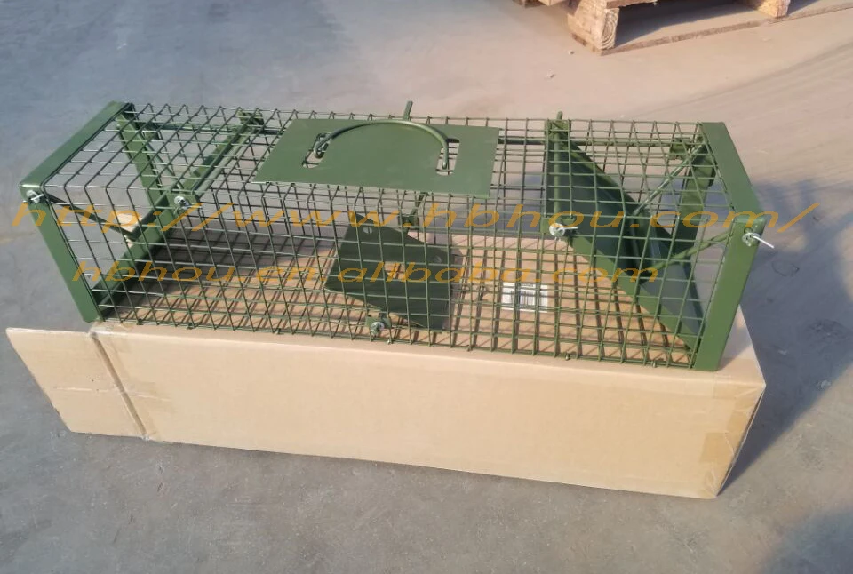 Welded Wire Mouse Trap Cage Buy Cage,Trap Cage,Mouse Trap Cage
