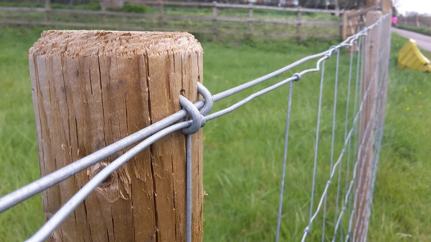 50m Roll Square Stock Fence L8/80/15 Galvanised Wire Netting Livestock Fencing 