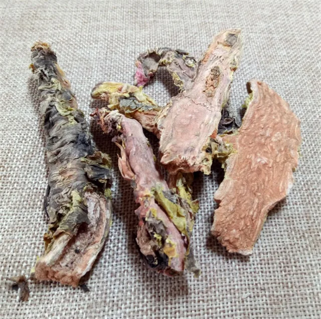 红景田优质干有机药草本 rhodiola rosea 根