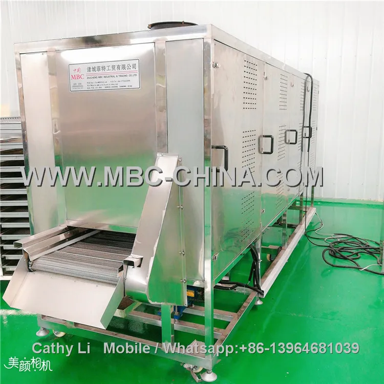 fries drying machine.jpg