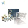 Human Hepatoma-derived growth factor,HDGF Elisa Kit