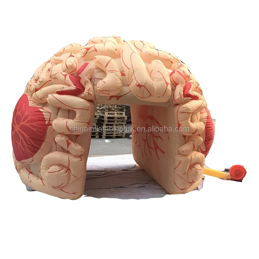 inflatable brain toy