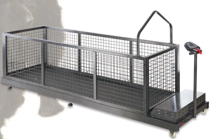 Ce High Quality Dog Treadmill Pet Treadmill Buy Life Fitness 95ti