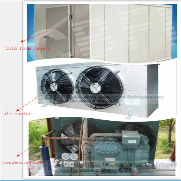 Customized Size Fish Cold Storage Room Price