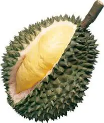 Download 6400 Gambar Durian Hijau Terbaru Gratis