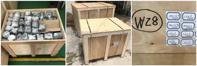 besta gear package.jpg