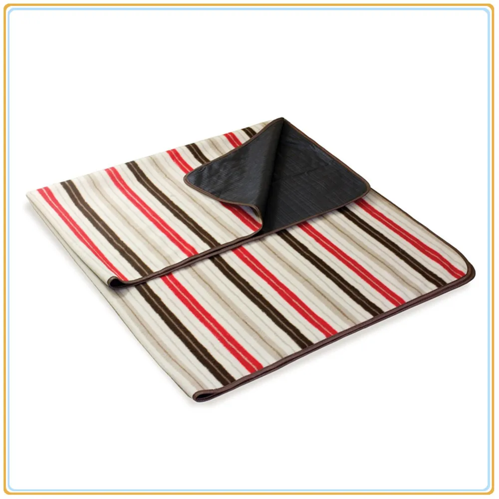 picnic blanket and tote