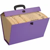 Amazing Quality Custom Logo Handy Document Filing Case Box for Office Supplies