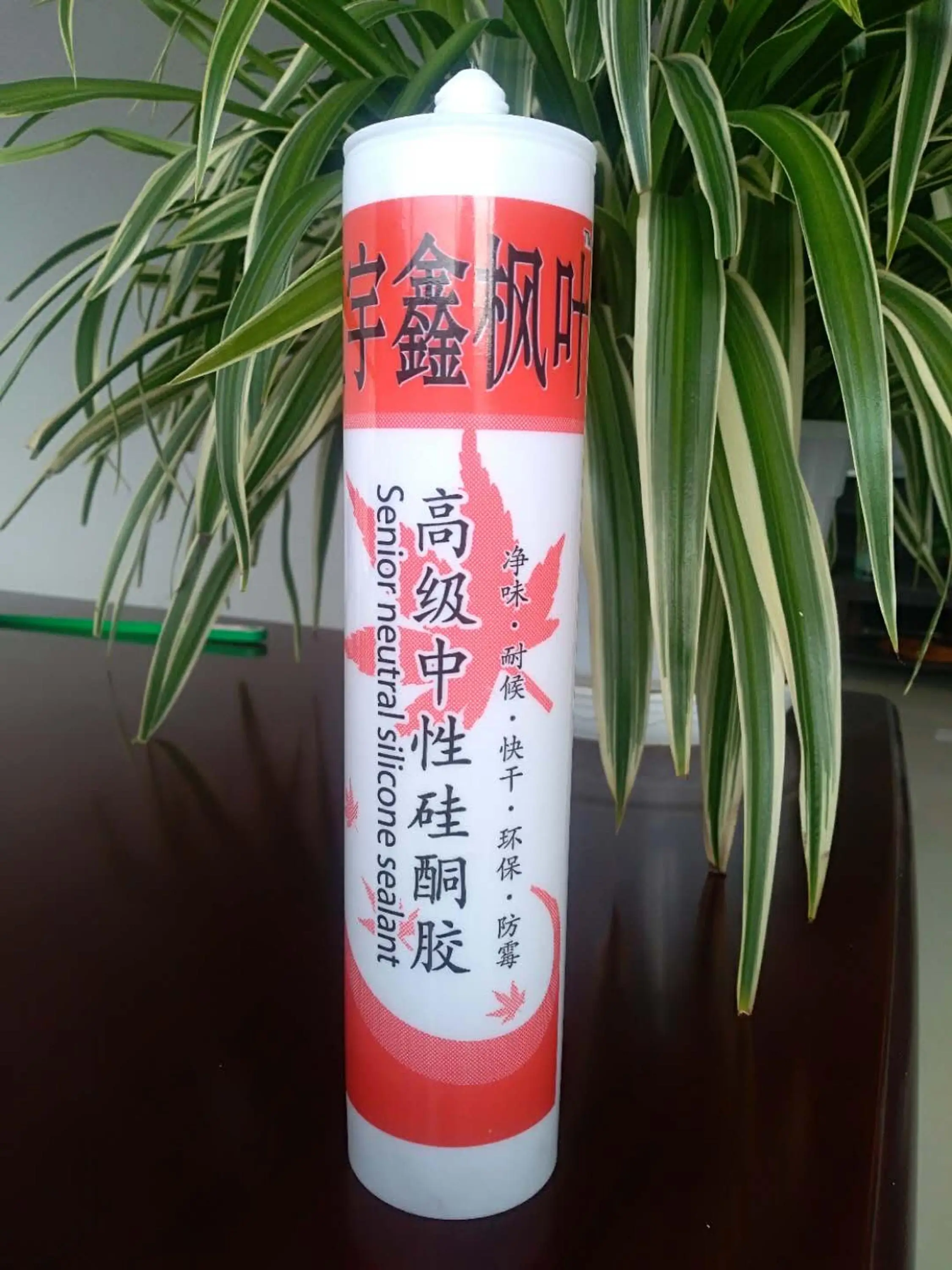 window and door Silicone Sealant
