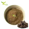 Best Selling Red Raw Maca Powder Maca Root and Tubers Powder