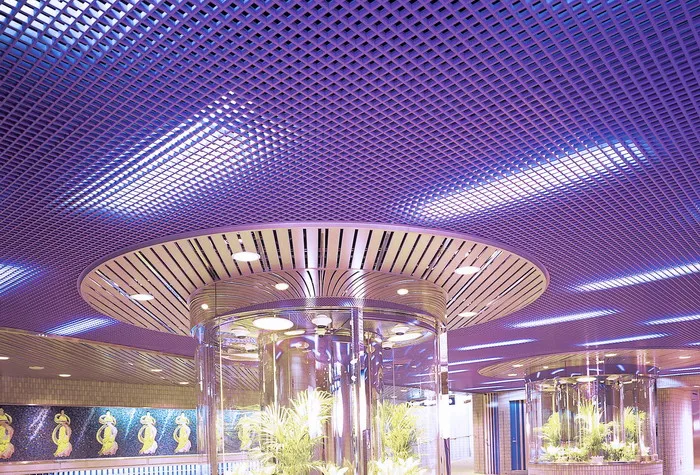 suspension  t grid (2).jpg