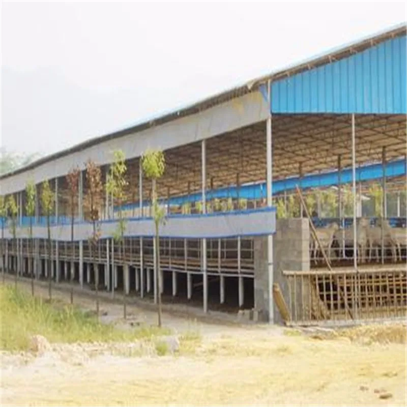 高品质的轻型钢结构预制农场建筑羊羊棚