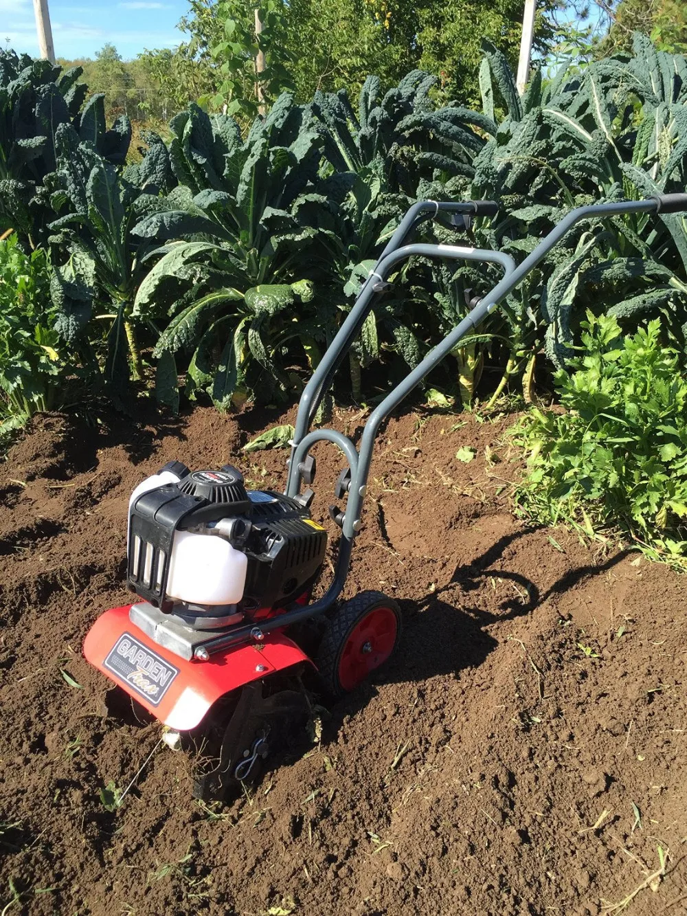 Gardentrax Gasoline Power Cultivator - Buy Cultivator,Mini Cultivator