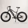 New Designed Electric Bike Europed 26 Inch Motor Bicycle Mid Drive Electric Bike E Power Cycle