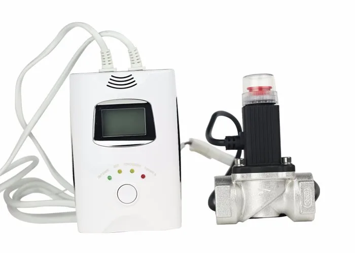 Home Usage Propane And Carbon Monoxide Leak Dual Gas Detector With