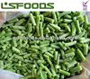 Best price IQF frozen green beans