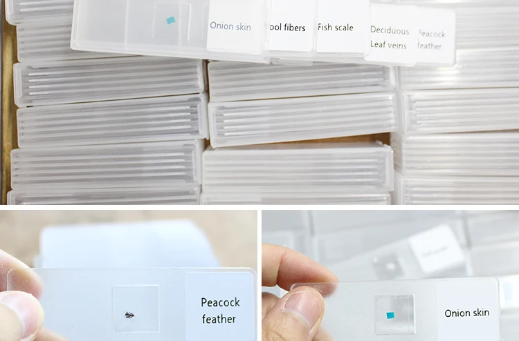 16plastic slides.jpg