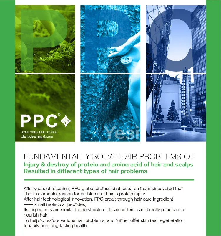 Herbal salon anti-dandruff best mild bulk sulphate organic hair growth argan oil shampoo