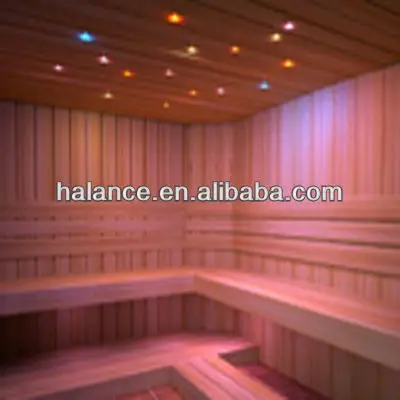 Fiberoptic White Lights.jpg