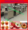 peach/ apricots cut into halves machine