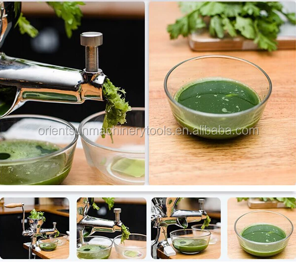 Stainless Steel Healthy Manual Wheatgrass Juicer Wheat Grass Juice