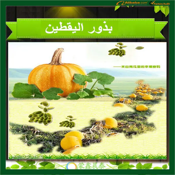 pumpkin-seeds-18.jpg