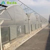 Plastic Multi span greenhouse for vegetable garden