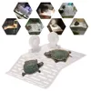 Dadypet Aquarium Tank Turtle Climbing Basking Platform S/L/XL Dock Floating Amphibian Turtle Pier Topper Basking Island Terrace