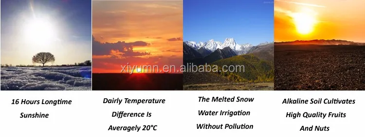 organic walnut halves