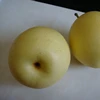 New Reason Shandong Fresh Pear 2019
