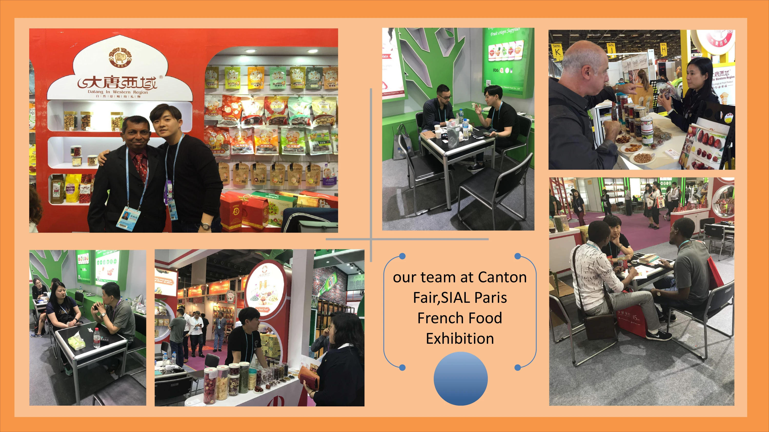 Halves Walnut Kernel/ walnut without shell/butterfly walnut kernel China Xinjiang dry nuts